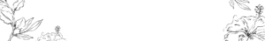bg overlay 01 free img